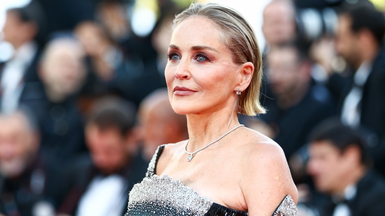 Sharon Stone on the red carpet at the Cannes Film Festival in 2026