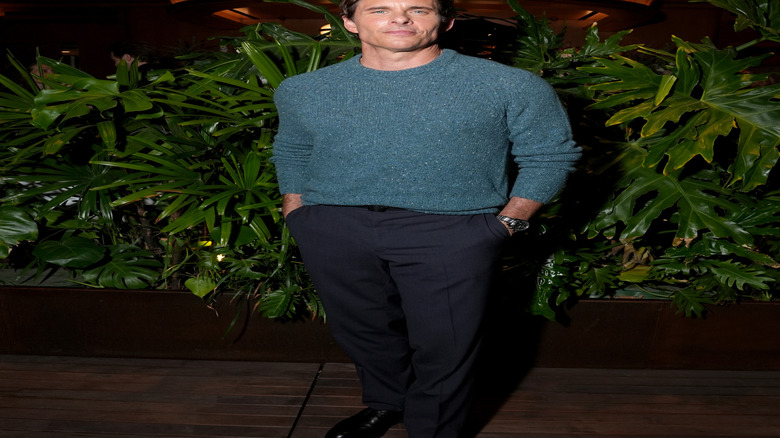 James Marsden in blue-gray sweater posing in front of plant