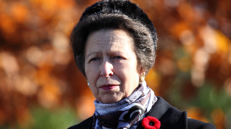 Princess Anne on Remembrance Day