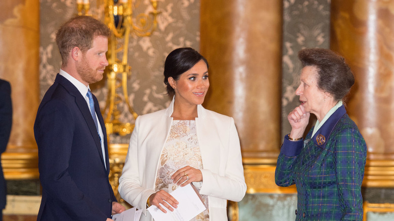 Prince Harry, Meghan Markle and Princess Anne talking