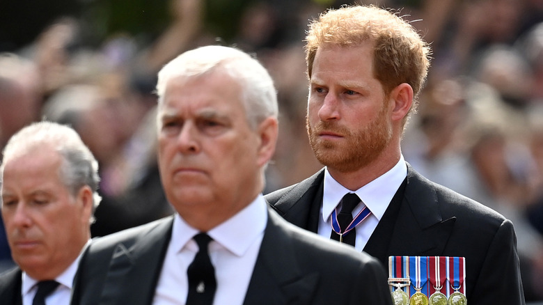 Ex- Prince Andrew and Prince Harry close-up