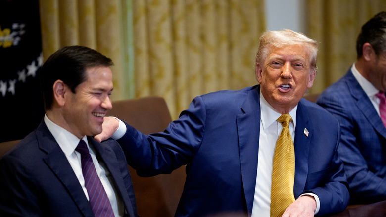 Donald Trump placing his hand on Marco Rubio's shoulder as the two laugh during a cabinet meeting