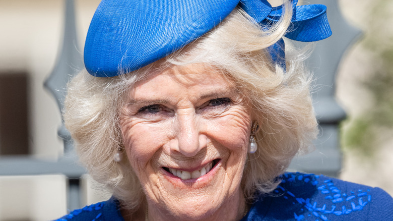Queen Consort Camilla wearing blue