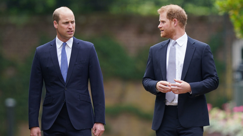 Prince William and Prince Harry walking and talking outside