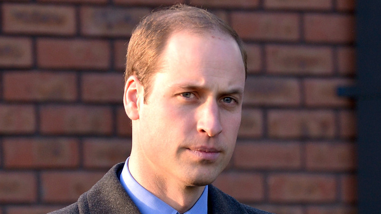 Closeup of Prince William in 2014 against brick wall