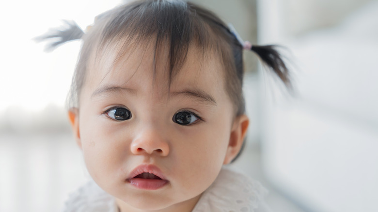 Close-up photo of a baby with wispy bangs and short pigtails.
