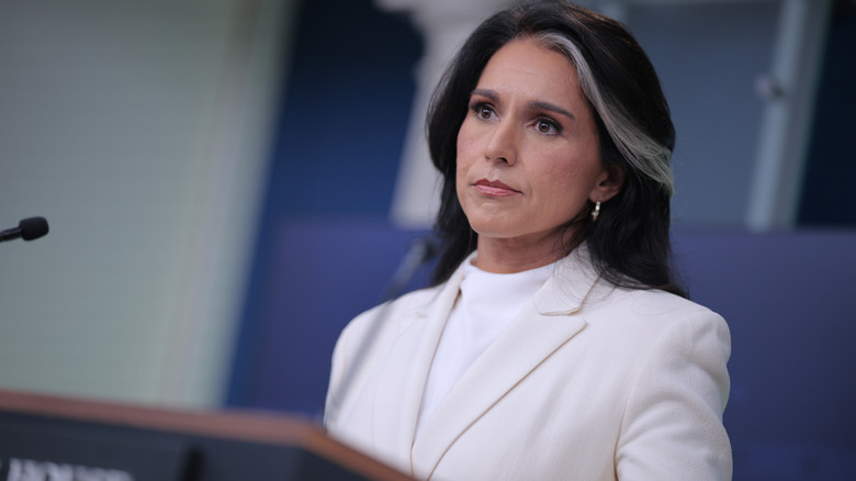 Tulsi Gabbard addressing the press
