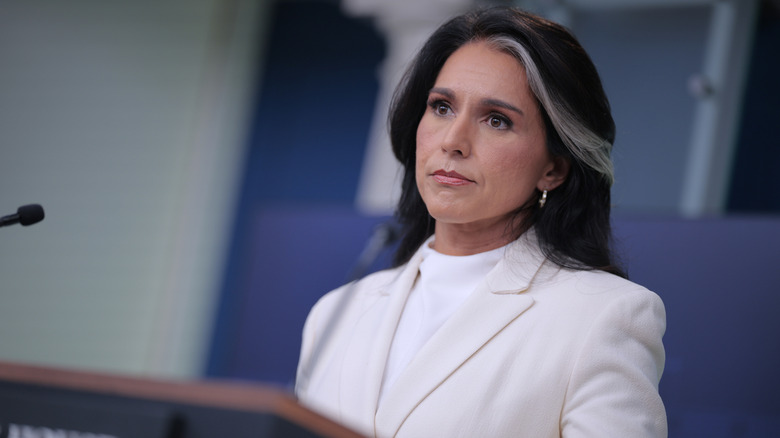 Tulsi Gabbard addressing the press