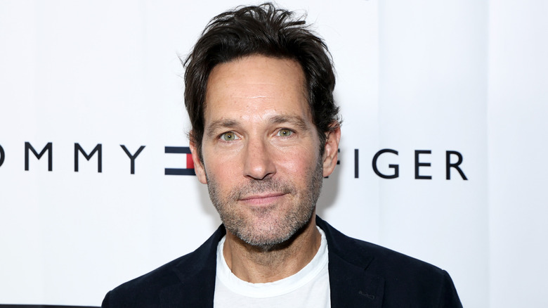 Paul Rudd posing at an event