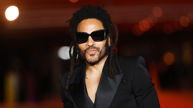 Lenny Kravitz posing on a red carpet