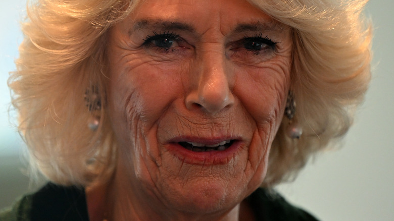 Camilla Parker Bowles smiling 