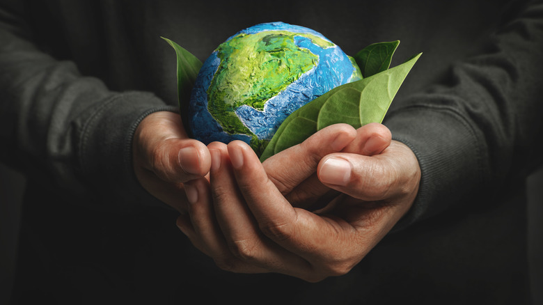 Hands holding a model of planet earth