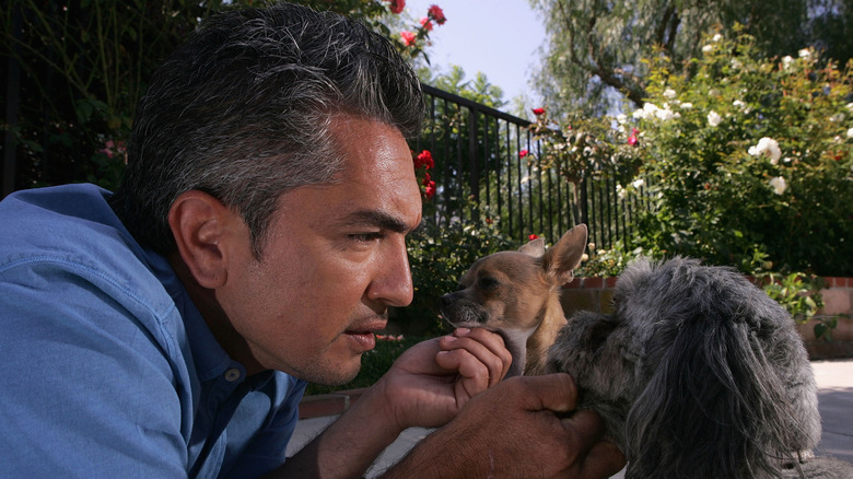 Cesar Millan holding the chins of two small dogs
