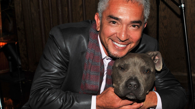 Cesar Millan posing with a pit bull