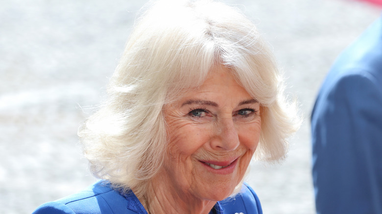 Close-up of Queen Camilla smiles