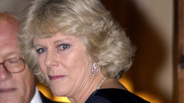 Queen Camilla in the '90s