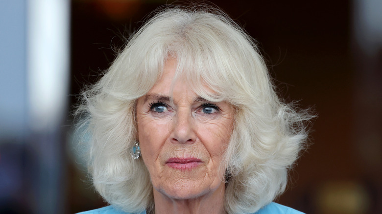 Close-up of Queen Camilla