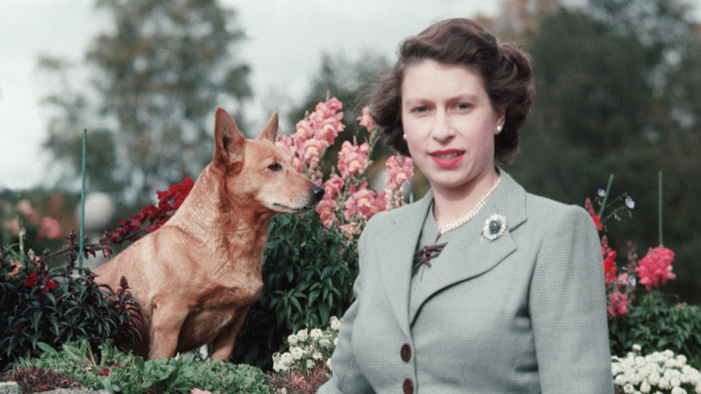 Young Queen Elizabeth II with Corgi
