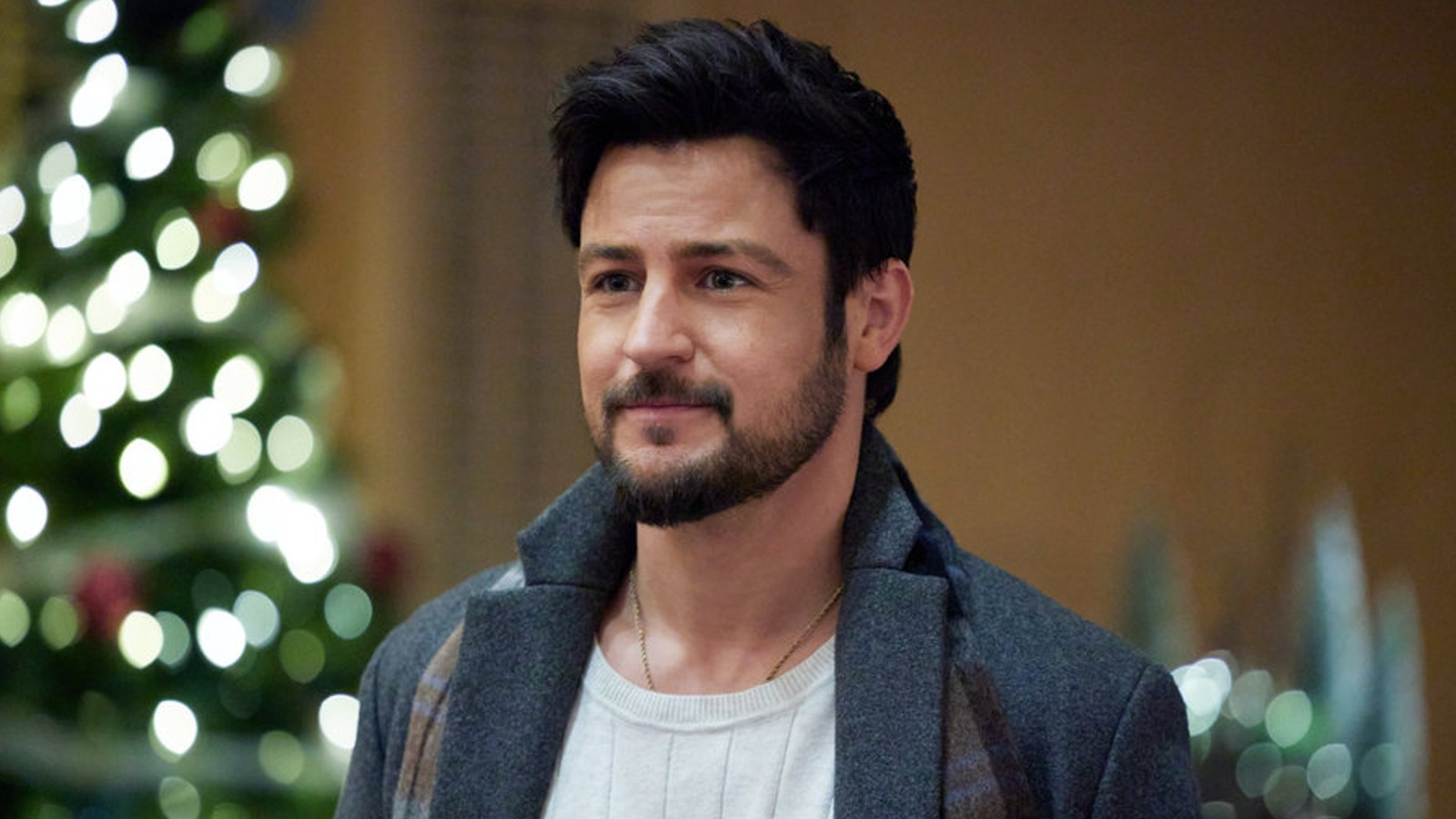 5 Perfect Tyler Hynes Hallmark Movies For A Weekend BingeWatch