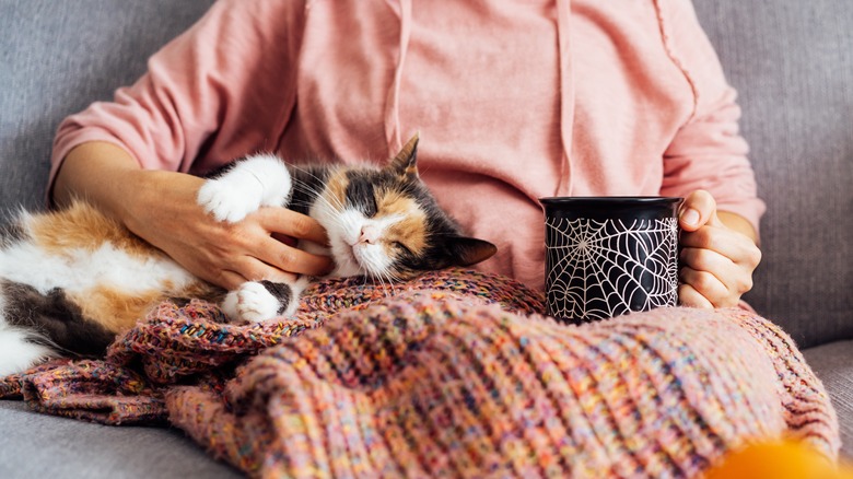 A woman watching television with her cat