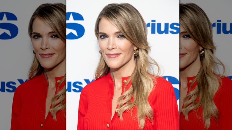 Megyn Kelly smiling on the red carpet with her hair swept to the side