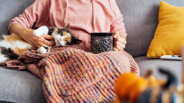 person holding mug and cat