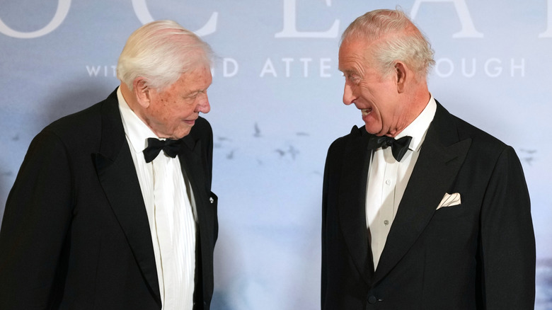 David Attenborough and King Charles at the premier of the Ocean documentary