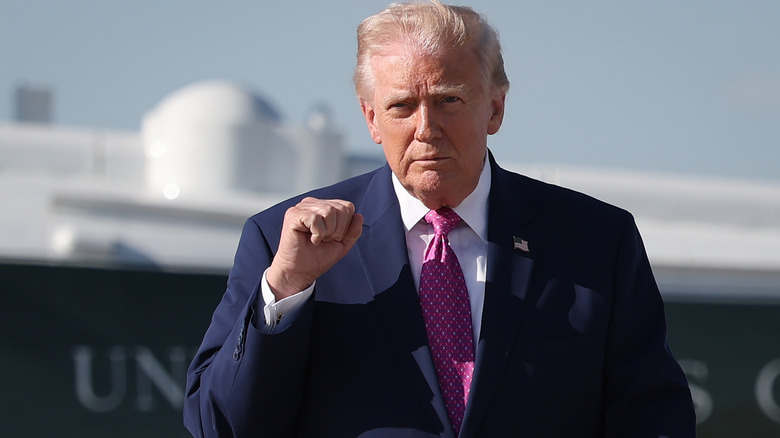 Donald Trump lifting his fist into the air