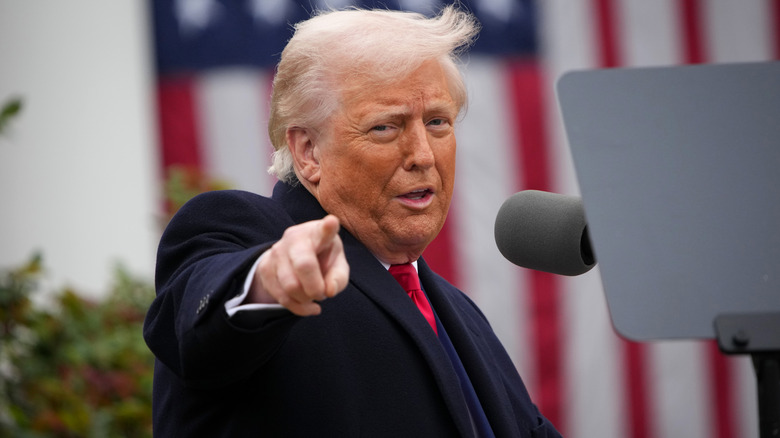 Donald Trump pointing a finger at someone in the crowd while delivering a speech