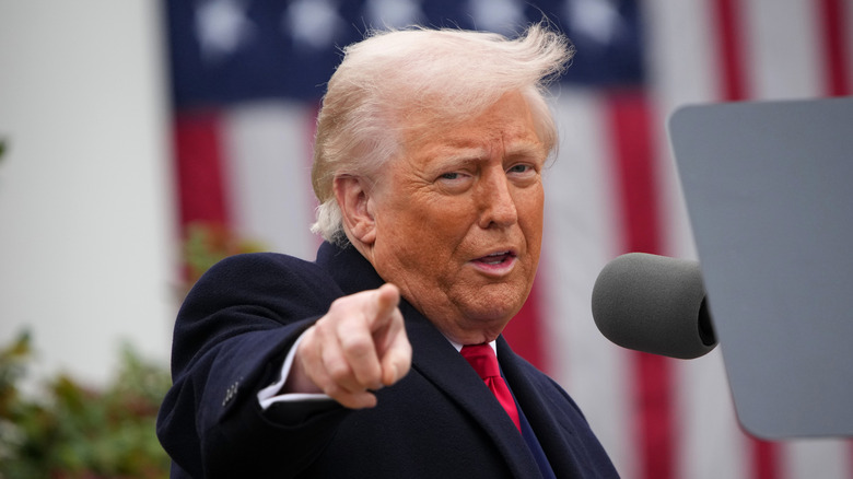 Donald Trump pointing