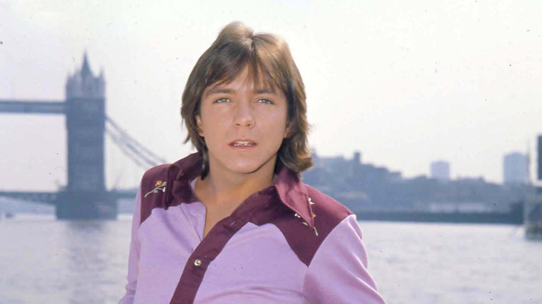 Outdoor photo of David Cassidy leaning toward the camera at a waterfront