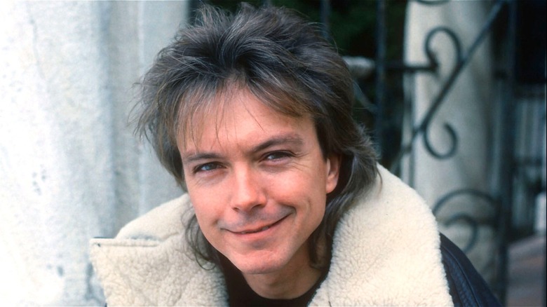 '70s Heartthrob David Cassidy Seriously Transformed After Partridge Family Fame