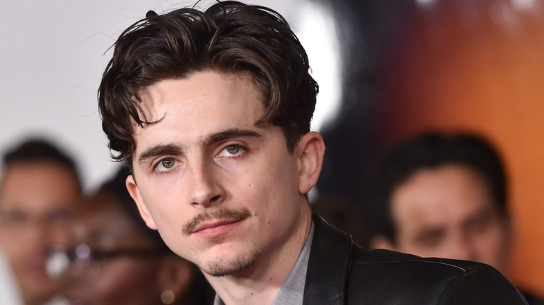 Timothée Chalamet posing for a photo