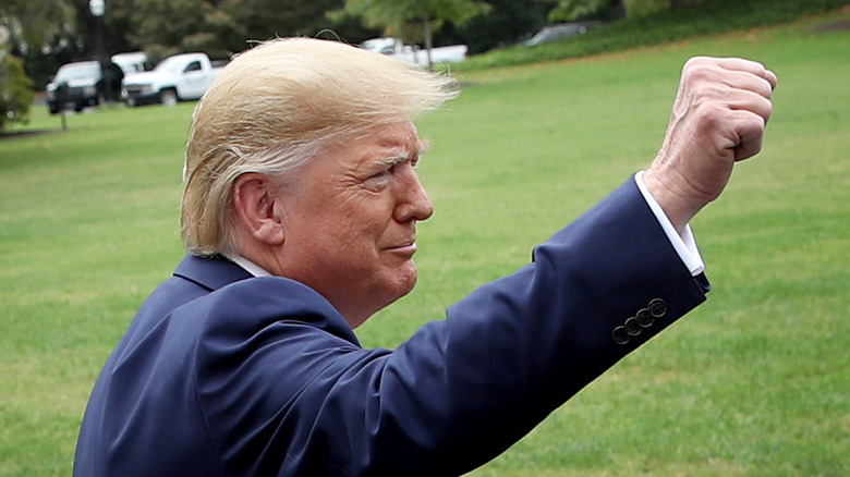 Donald Trump raising high a closed fist.