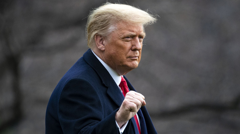 Donald Trump giving a fist pump.