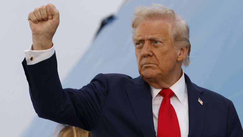 Donald Trump looking stern with a raised fist.