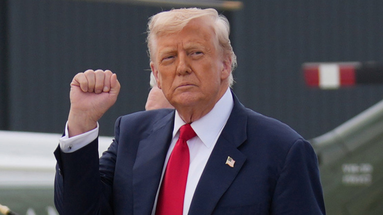 Donald Trump raises a pale fist to his face.