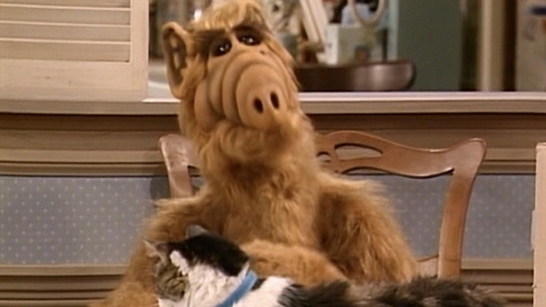 "Alf" alien sitting with a cat