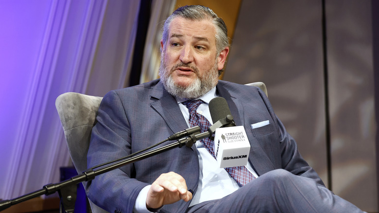 Ted Cruz sporting a gray beard and wearing a dark gray suit with a maroon and blue plaid tie.