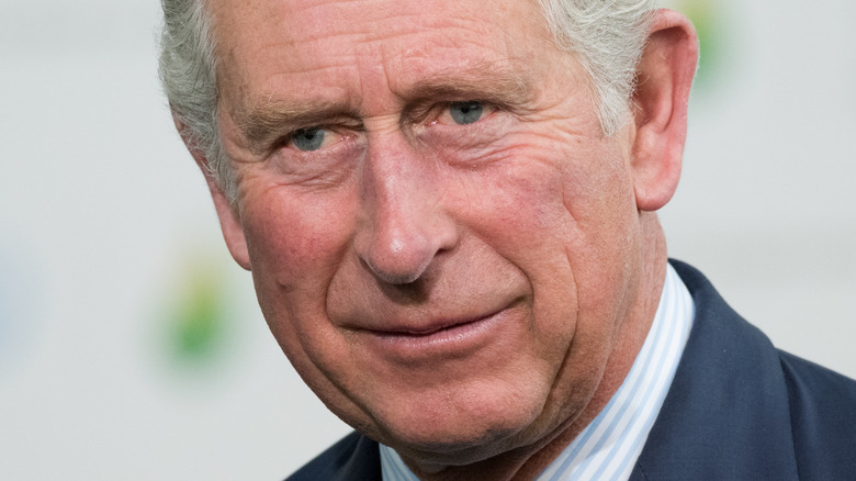 Prince Charles posing 