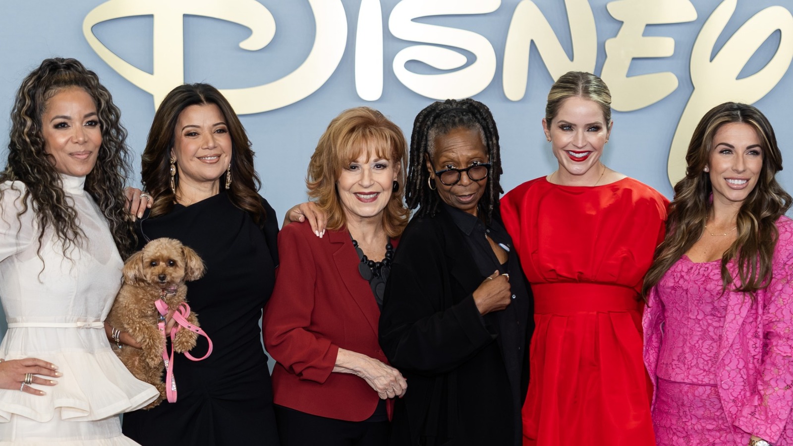 A Familiar Face Is Coming Back To The View Next Season
