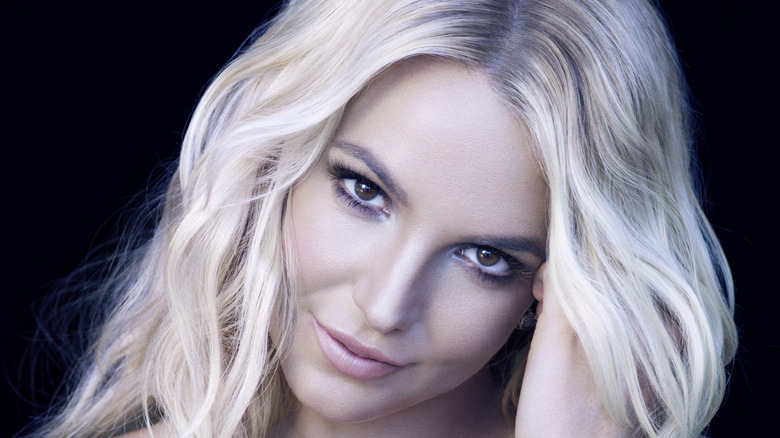 Britney Spears posing from a promotional campaign for her album 'Britney Jean'