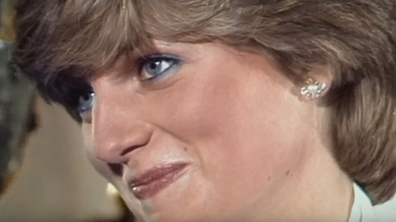 Princess Diana appears in The Princess