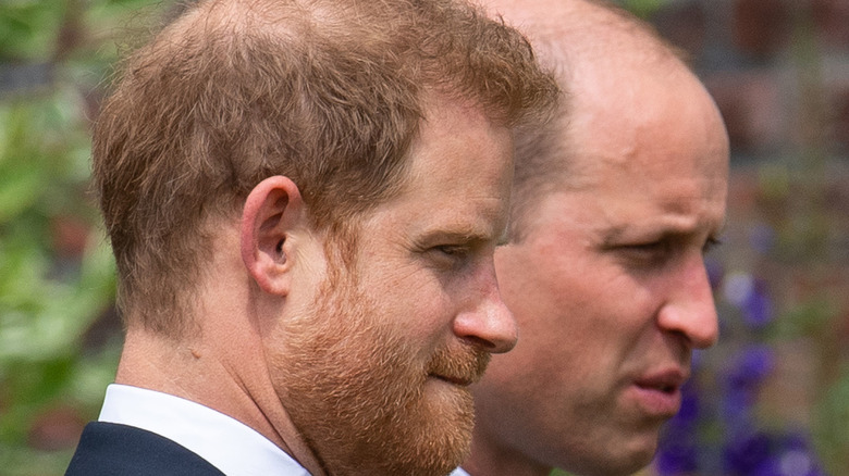 Harry and William in profile