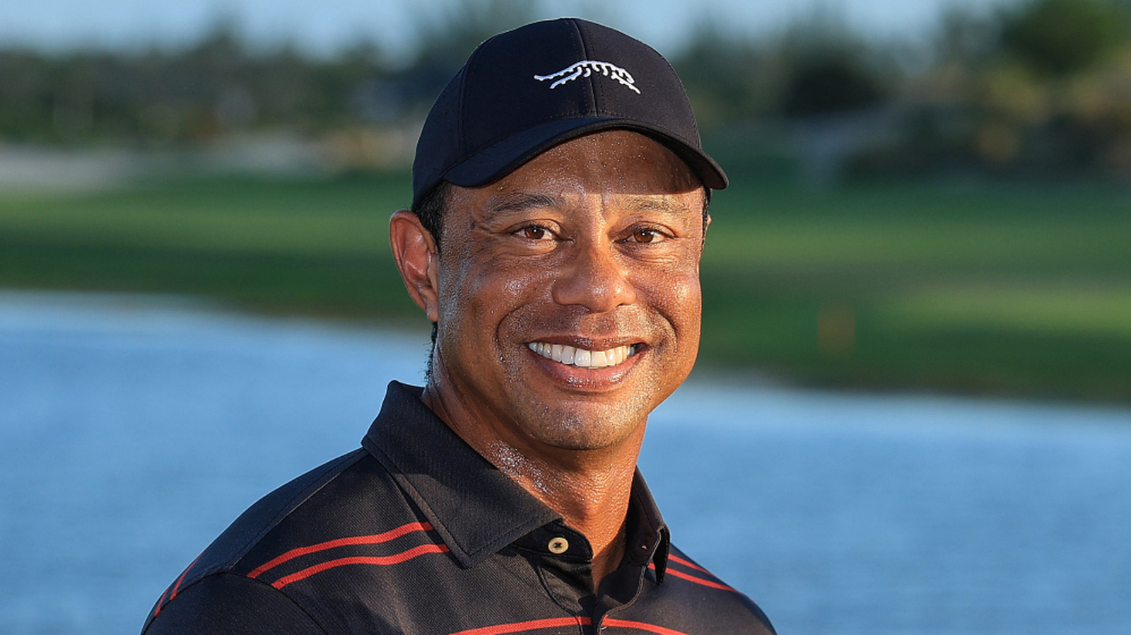 A Timeline Of The Scandals That Led To Tiger Woods' Downfall From Fame