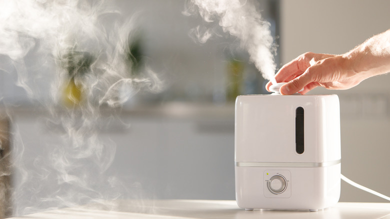 A hand and a humidifier 