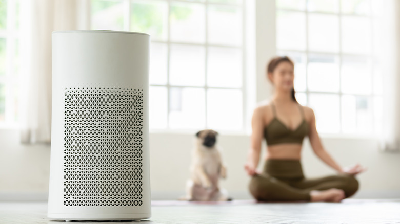 A woman and dog sitting with an air purifier 