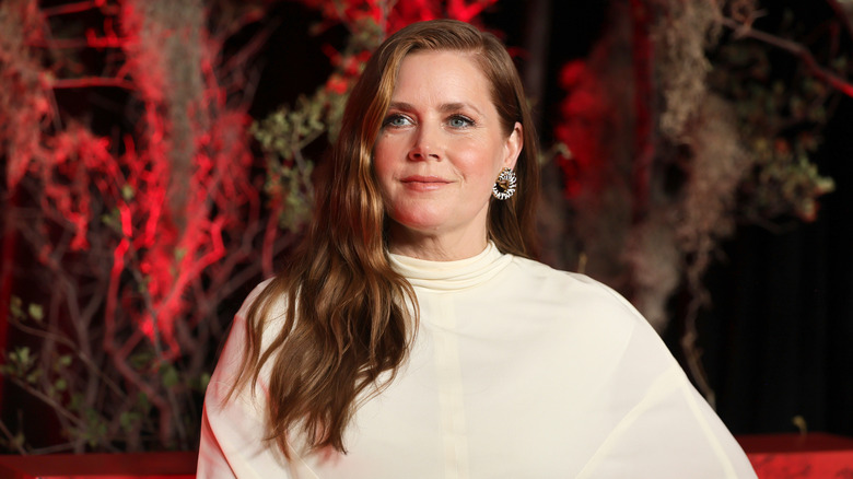 Amy Adams smiling