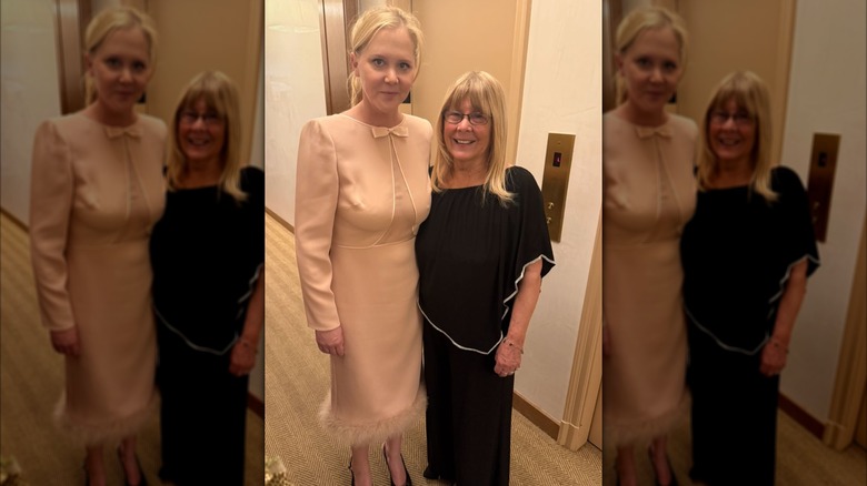 Amy Schumer in a pink dress standing next to a woman in a black dress