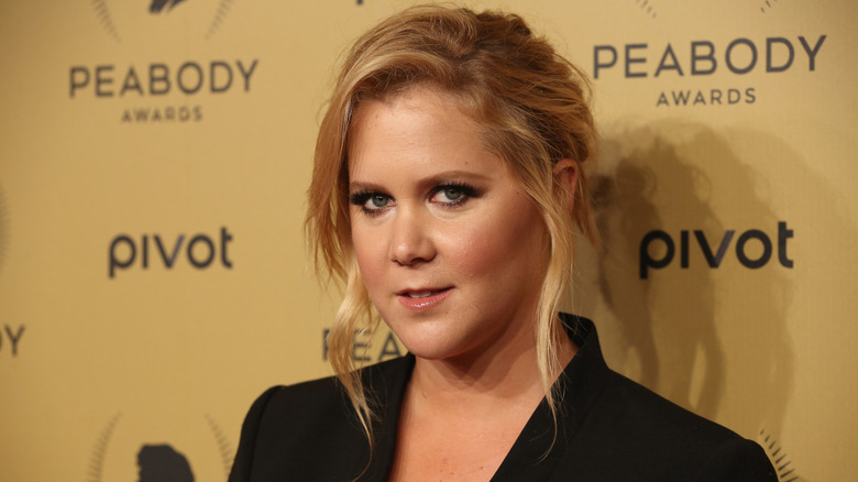 A close up of Amy Schumer in a black blazer with her hair up